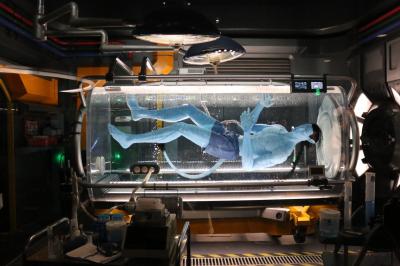 卒業旅行第一弾!アメリカ横断三週間の旅~フロリダ編~ day2