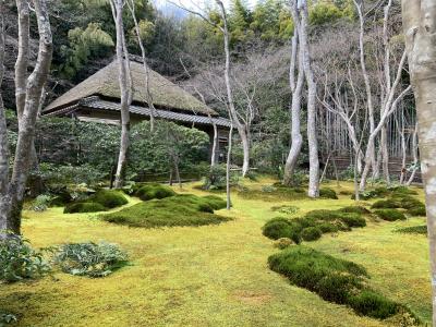 女ひとりで京都旅！（①嵯峨野をぐるりとオタク旅編）