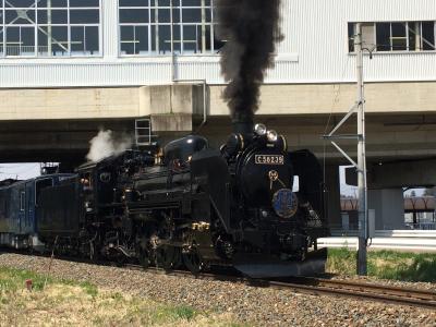 春、東北岩手の一人旅