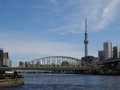 1歳5ヶ月の空旅デビューはピーチ＆JAL【親子で東京往復記2020年２月編その2】