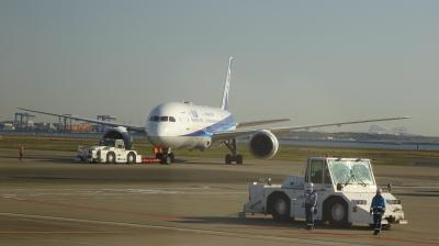 2020年SFC修行7(八丈島とご報告)