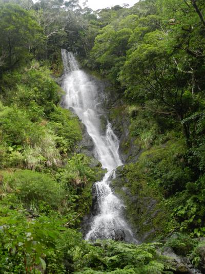 秘境感いっぱい！『フナンギョの滝』＆『タンギョの滝』◆2017年1月・奄美大島で滝めぐり＆カヌー体験《その７》