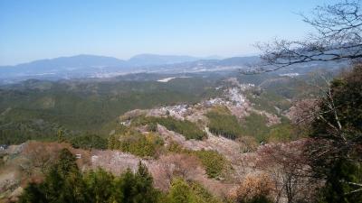 桜の吉野山