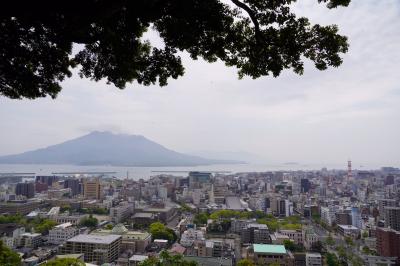 20200419-1 鹿児島 城山遊歩道散歩