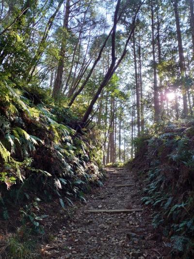 神聖なる*熊野古道&amp;伊勢神宮 1日目 熊野古道