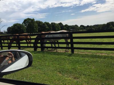レキシントンに関する旅行記 ブログ フォートラベル アメリカ Lexington レキシントンに関する旅行記 ブログ フォートラベル アメリカ Lexington