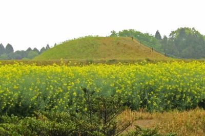 古代の歴史を目の当たりにできて、凄い！