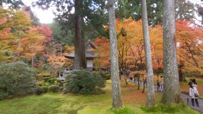 錦秋の洛北を歩く　１．京都国際会館から大原三千院へ