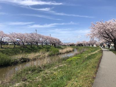 秋田ライフ　2020年4月21～30日