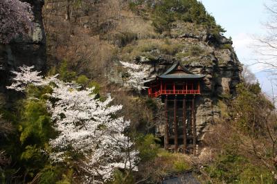 信州・小諸（懐古園、布引観音）　真田（長谷寺）桜見物！！