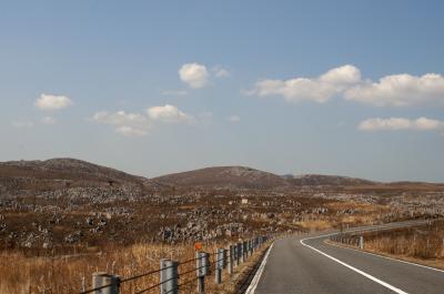 【大学1年生の2人旅】 西へ！西へ！　山口旅2泊3日　②秋吉台＆帰路