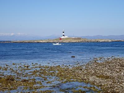 大間（函館旅行９）　2020.3.30