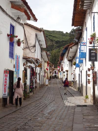 ◆ペルー 女ひとり旅◆⑪アレキパ→クスコ食べ歩き