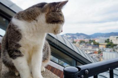 猫。島。電車。長崎を巡る旅