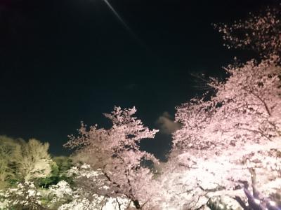 桜アーカイブ2017　－東京