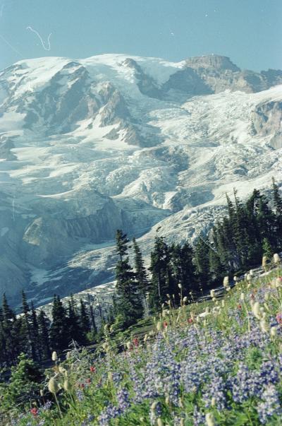 Mt. Rainier, 1979.