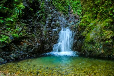水の流れのように ~台風被害と新緑の森~