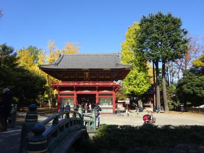 2019今年も逢えたね1都３県欲張り旅　東京～宇都宮へB級グルメ食べ歩き