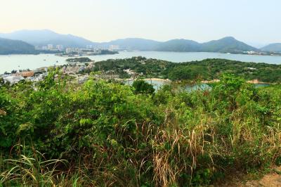 香港★香港は今日も元気です　坪洲2　のんびりハイキング　～坪洲家樂徑（手指山・銀洲仔・大窩）～