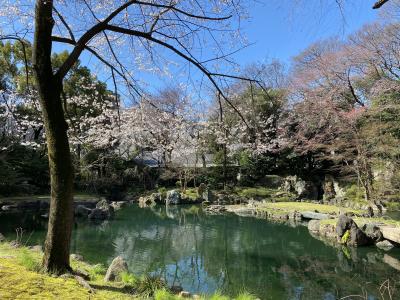 2020年3月　靖国神社