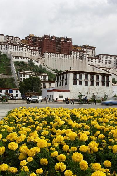 回顧録　２００５年　９泊１０日　チベット・北京旅行　その６　いよいよポタラ宮へ