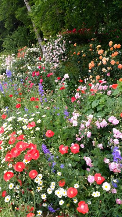 2018年　茨城・ガーデン巡りバスツアー