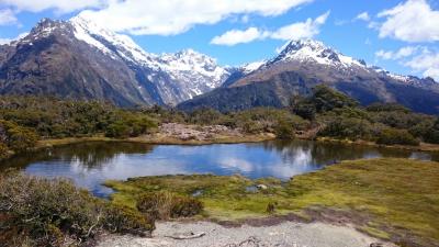 NZ南島ハイキング旅行⑤　～ルートバーントラック～