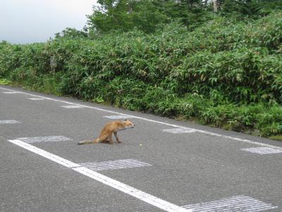 北海道自転車旅７日目（羅臼⇒ウトロ　52.4km）