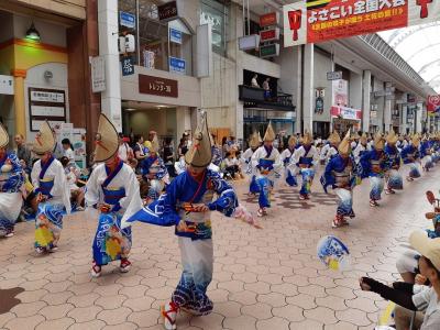 夫婦で珍道中の回顧録　高知へ(行きも帰りもバッタバタ)②　なんてったってヨサコイ