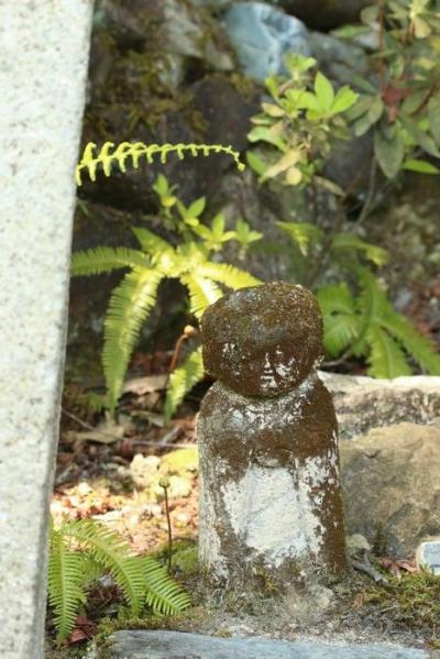 新緑の三室戸寺