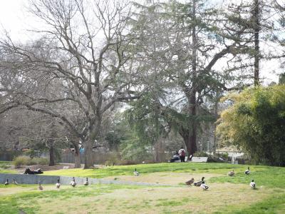 UC Davis Arboretum &amp; Public Garden-East Asian Collection