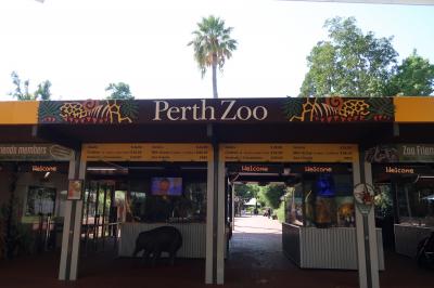 クオッカに会いにオーストラリアへ：５：パース動物園