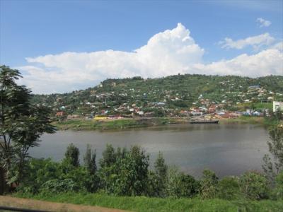 猫探し【ルワンダ・（キブ湖・Lake Kivu）編】-その2