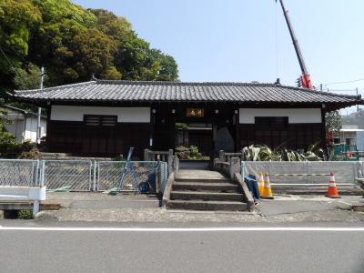 徳恩寺（横浜市港南区日野中央2）－2020年春