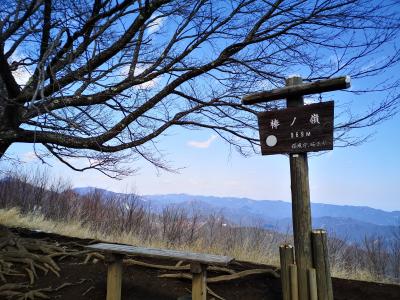 にわか山ガ～棒ノ嶺に立つ！