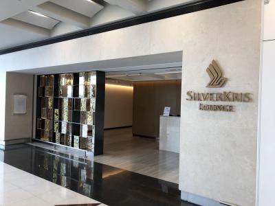 激動の香港を食べ歩き旅（2019年香港⑪）～シンガポール航空シルバークリスラウンジの利用後、ANAエコノミークラスで帰国～