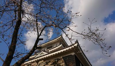 おさんぽ浜松城公園