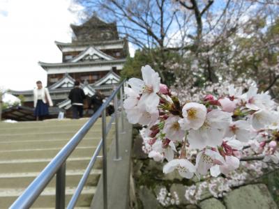 2020MAR「JALダイナミックパッケージ広島一人旅」（10_広島城）