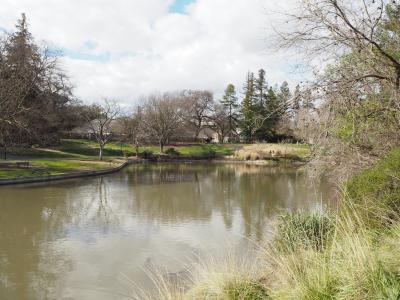 UC Davis Campus-Lake Spafford