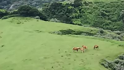 ２０１９年７月４泊５日　出雲・隠岐。。。その４「隠岐島前」