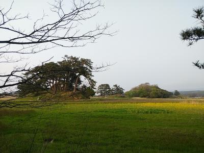 新潟・東北２０２０陽春旅行記　【２】鳥海山周辺１