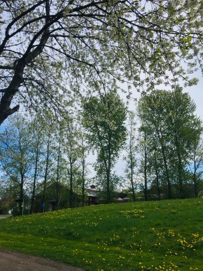 風薫る５月の風景