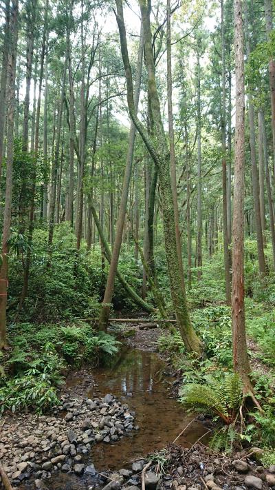 森と水の公園　2020.5.5