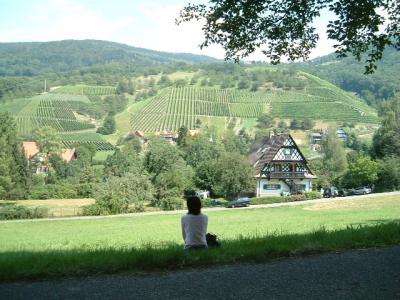 美しいドイツの村、Sasbachwaldenのワイナリーを訪問
