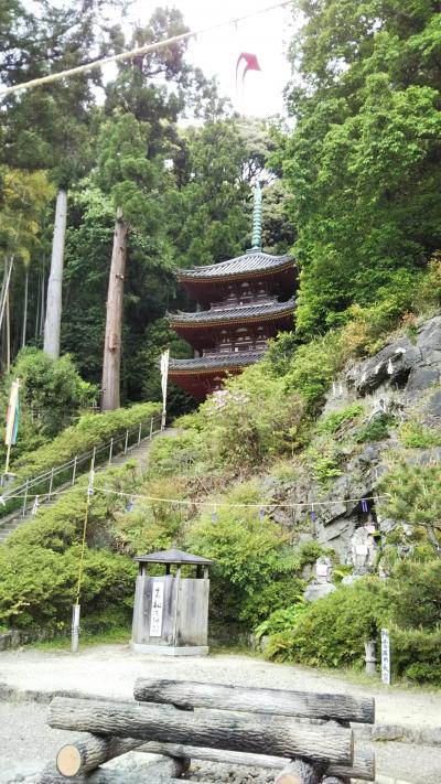 お家で過ごそう  その3 (’-’*)♪松尾山を散歩