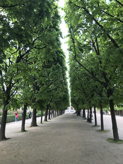 フランス旅行　ぶらり気ままにパリの街歩き♪