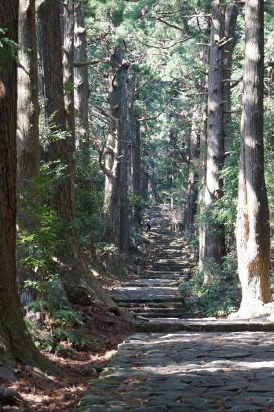 春の熊野古道中辺路と大門坂