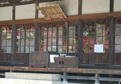 満開のつつじ　　　　IN　　薬王寺