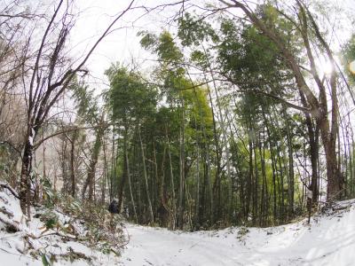 天寧寺 （てんねいじ）吹雪の中、新選組・近藤勇の墓所へ。徳川幕府への忠誠が・・・享年35歳