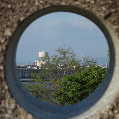 滝の水公園で，名古屋のスカイラインを見ながら，社会の将来を考える。